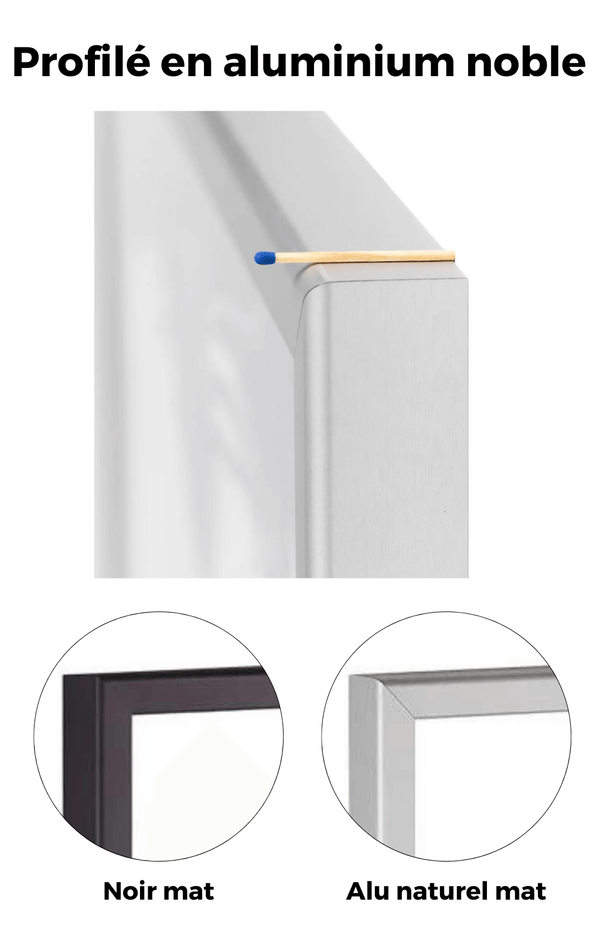 profile aluminium